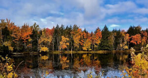 Autumn trees reflected in a calm Minnesota lake under a blue sky, used as a seasonal header image for Still Waters Mediation.